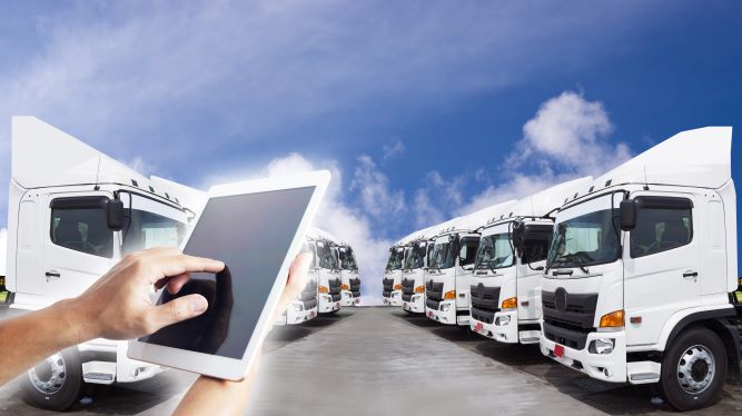 white trucks