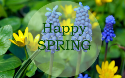 Spring into Safe driver practices