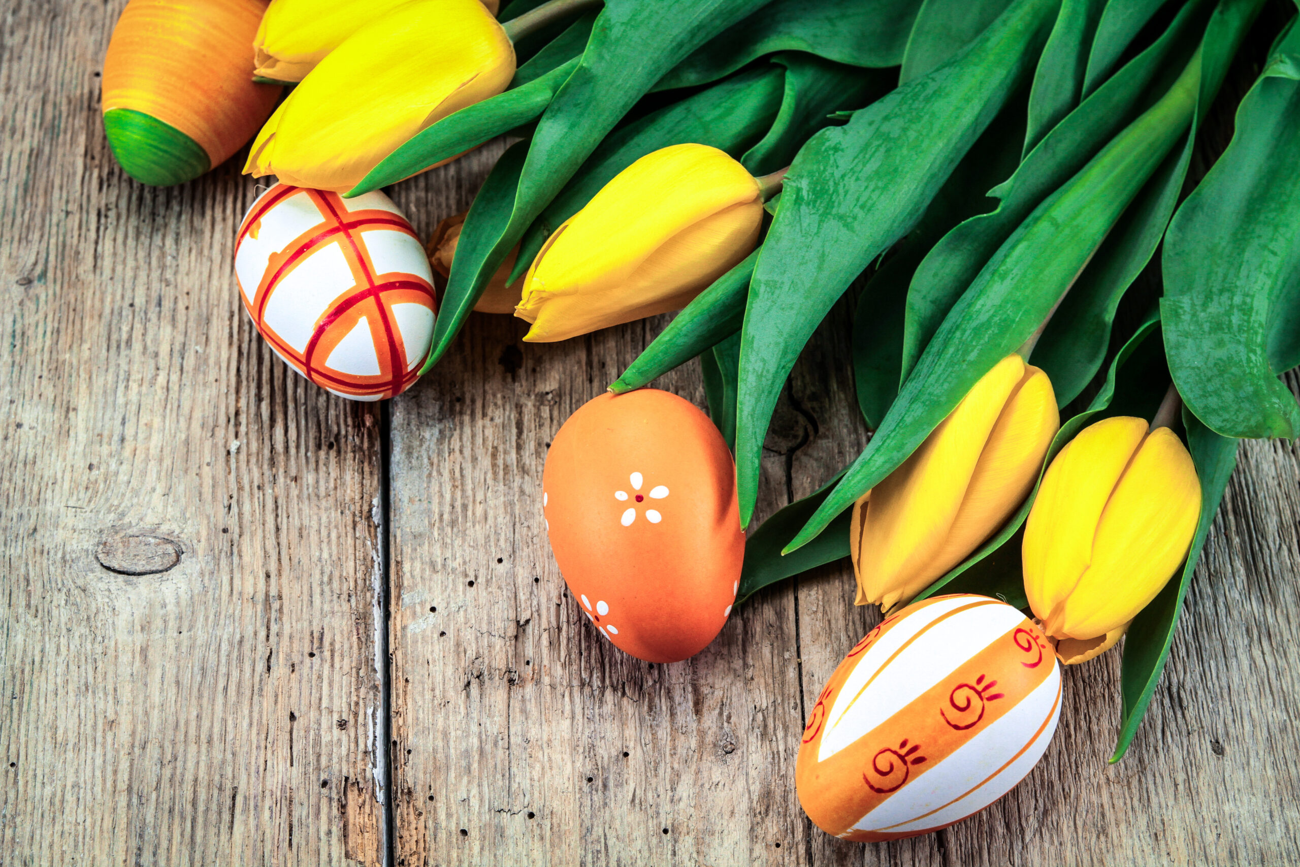 fond sur le thème de pâques avec oeufs et tulipes