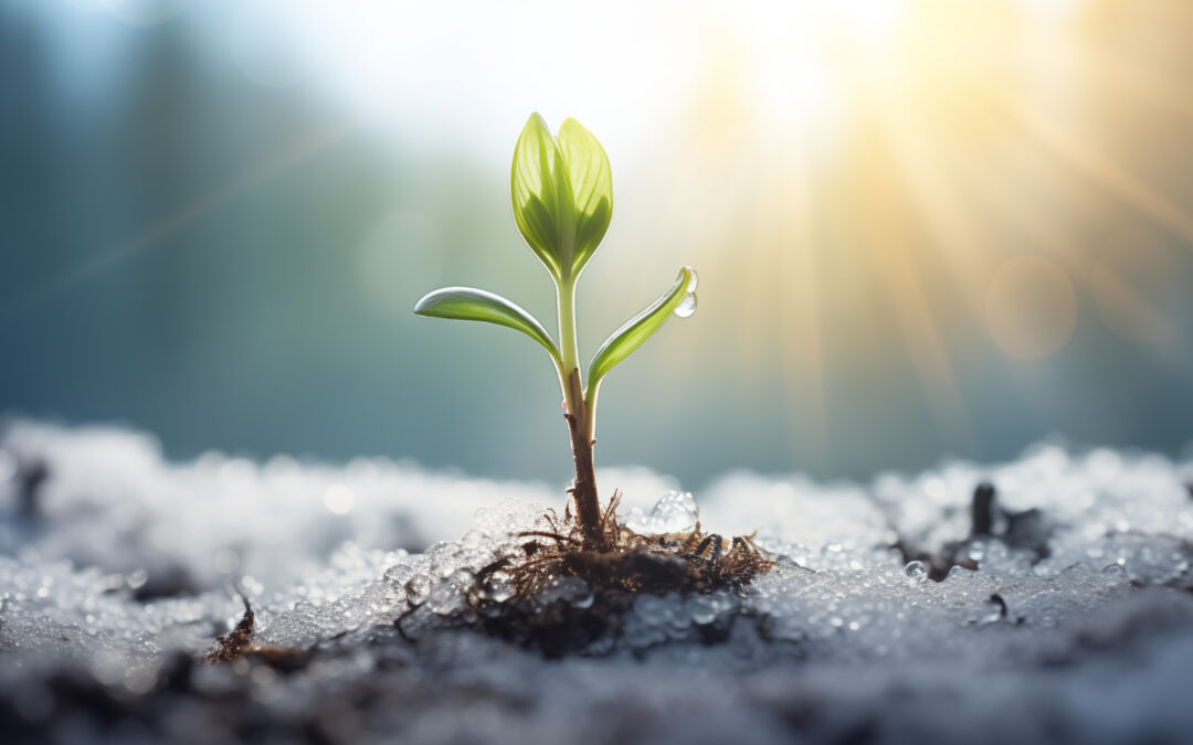 Spring Arrives, But Winter Isn’t Done Yet