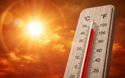 Summer Hazards and Protecting People and Businesses